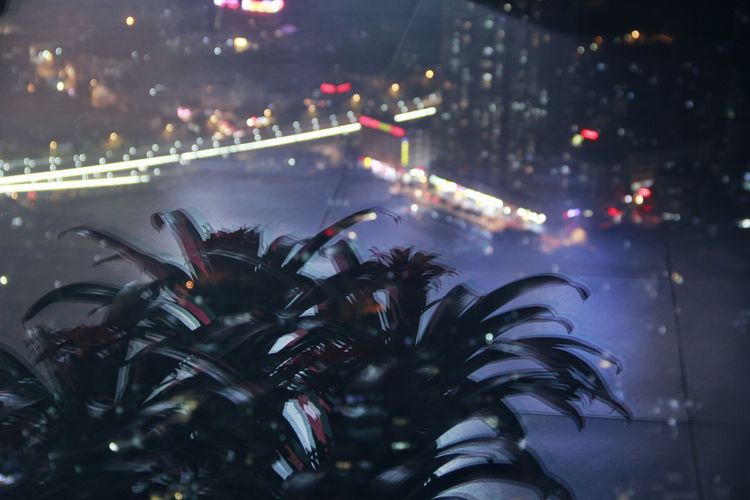 云上厦门看厦门夜景,海上看厦门