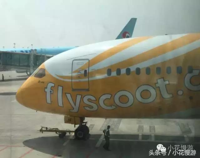 看图写话发现亮点,看图说话奇妙的一天