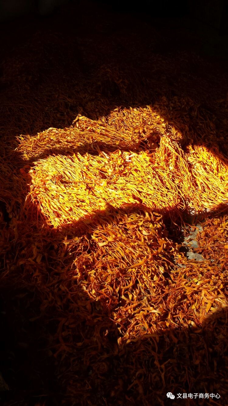 文县贾昌一个“胖子”变”瘦子“的过程