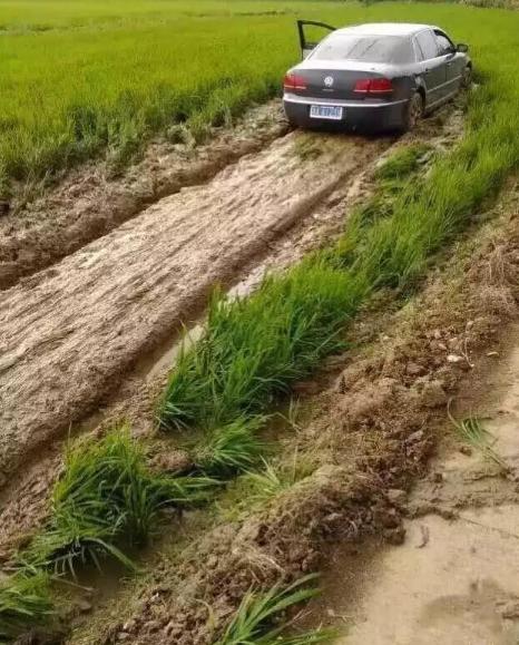 逗逼先僧：讽刺那些老发自拍瞎逼逼的女神，搞笑图片合集22