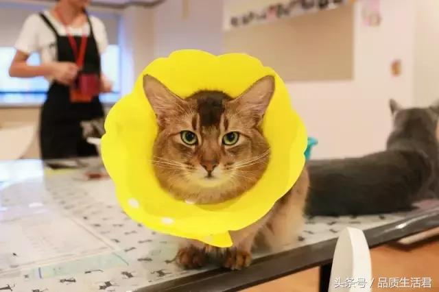 网购什么东西不方便,网购什么东西都能买到