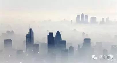 丹皮酚治鼻炎使用方法,苍耳子治鼻炎正确方法