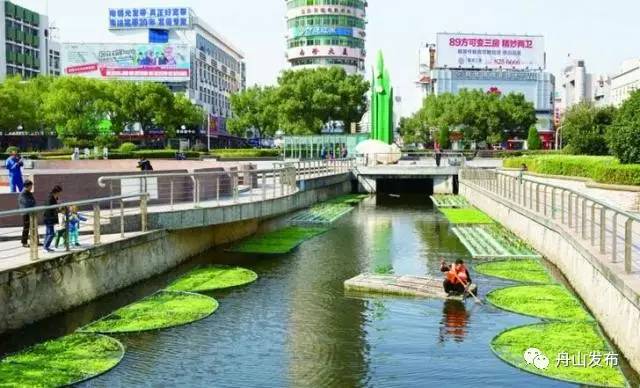 浙江生态环境最好的地方,浙江省自然生态环境最好的城市