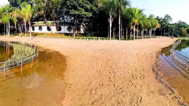 超爽！柳州又一人工沙滩诞生！不出柳州就能看到马尔代夫！