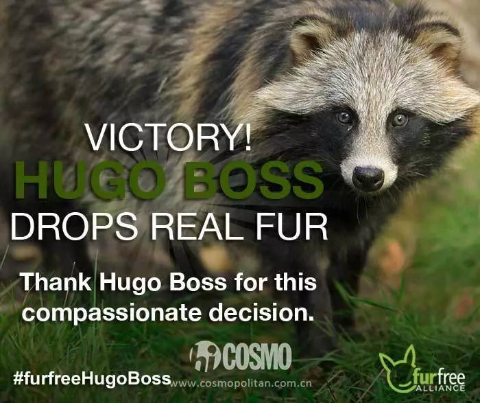 比雪地靴还好的鞋,canadagoose哪款是鹅绒