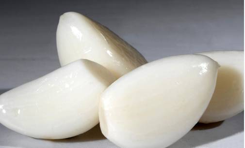 坐着飞机去度假,坐着飞机去过年