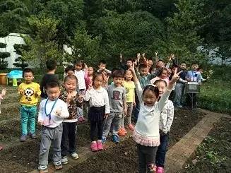 上海一级幼儿园全名单,上海市一级幼儿园