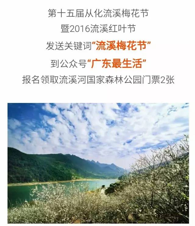 广州法式餐厅,2019广州最浪漫私密的餐厅