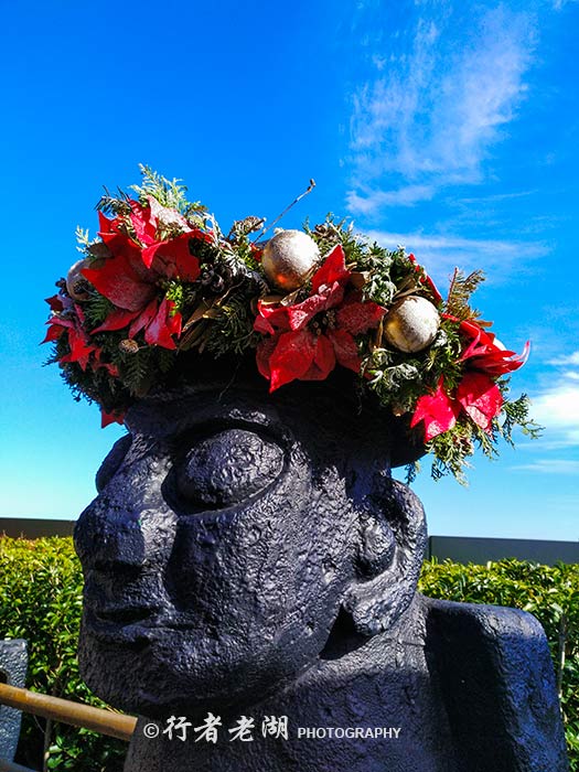 济州岛的苦逼生活,在济州岛的一天打卡