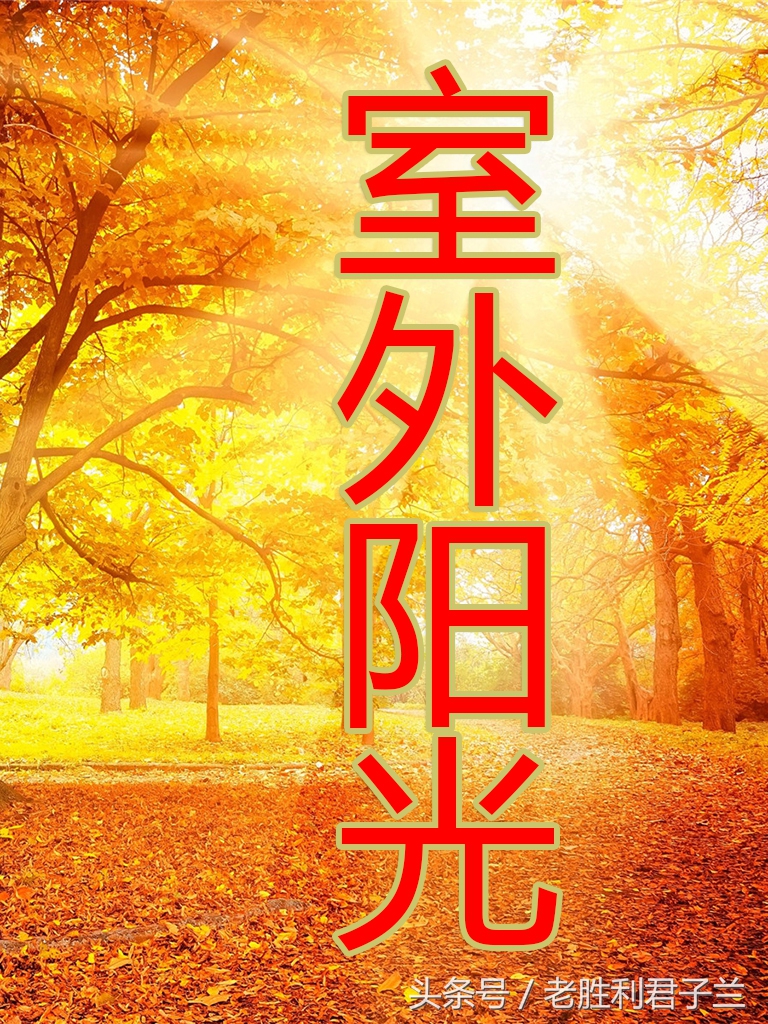 君子兰怎么养才能更旺盛开花多,君子兰怎么养才能旺盛开花