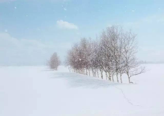 第一次到日本走什么通道,去北海道怎么走最合适