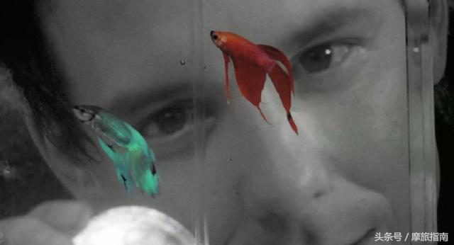 你骑车的样子真美,你骑车时的样子