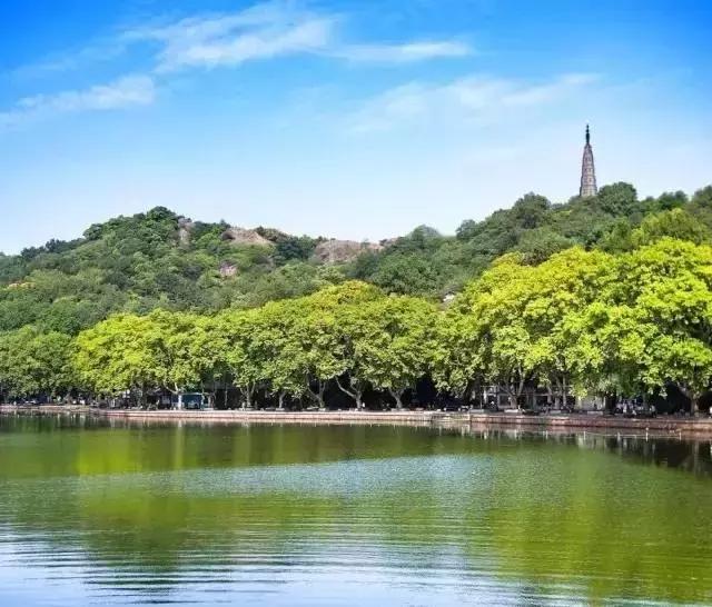 杭州工资水平一览表,杭州工资收入水平报告