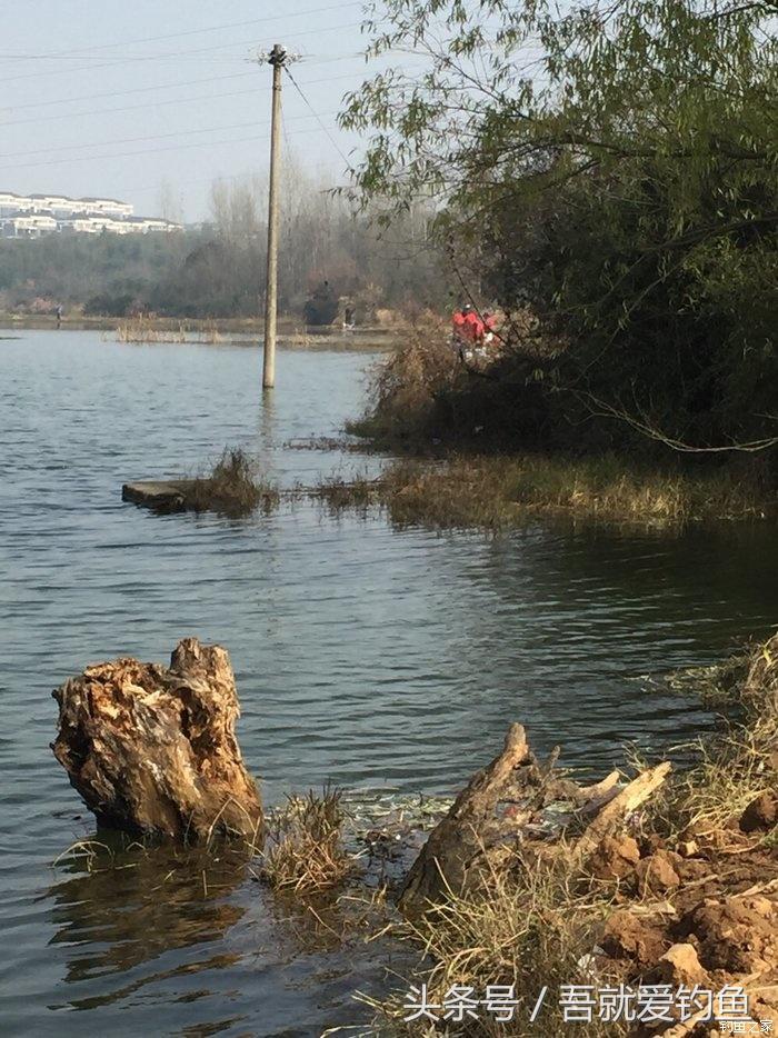 大湖冬钓鲫鱼怎么找钓点,平天湖初冬