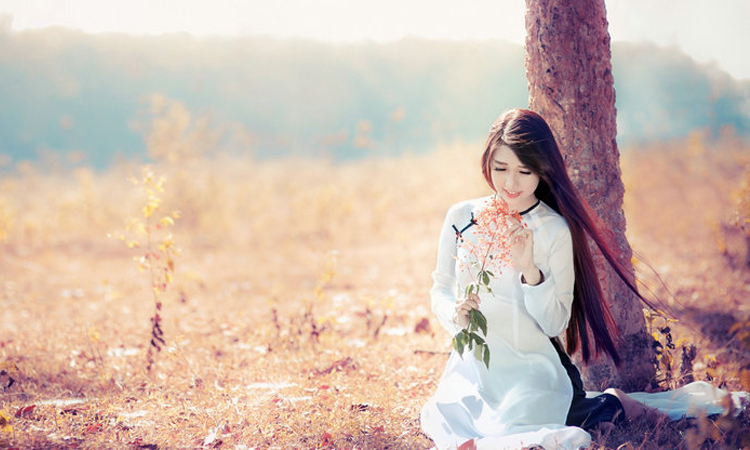 6句唯美语句：醉语何年缘再续，叹息红尘情何物！