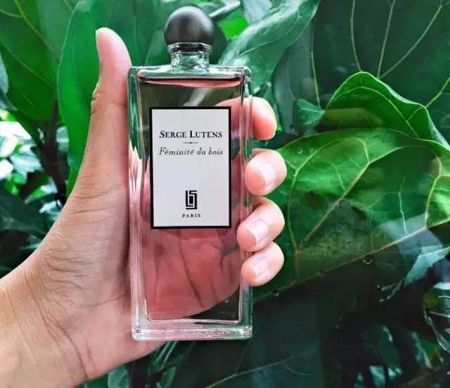 祖马龙芦丹氏,祖马龙芦丹氏阿蒂仙