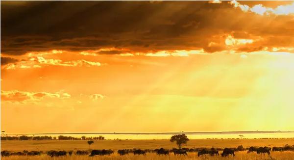 这些地方不会让你失望,生来平庸岂能甘于平凡