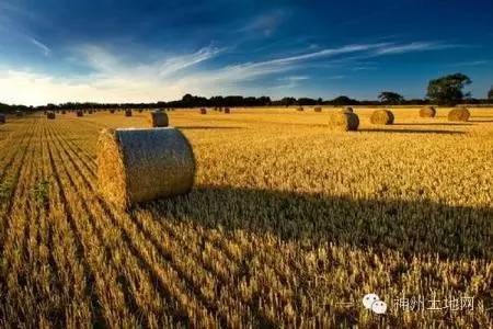 土地确权以后还重新分地吗,农田确权后还能重新分配吗