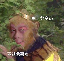 为什么狗改不了食屎的习惯,为什么狗改不了屎