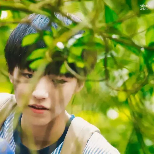 为什么这么多人脱粉tfboys,tfboys为什么这么多人在看