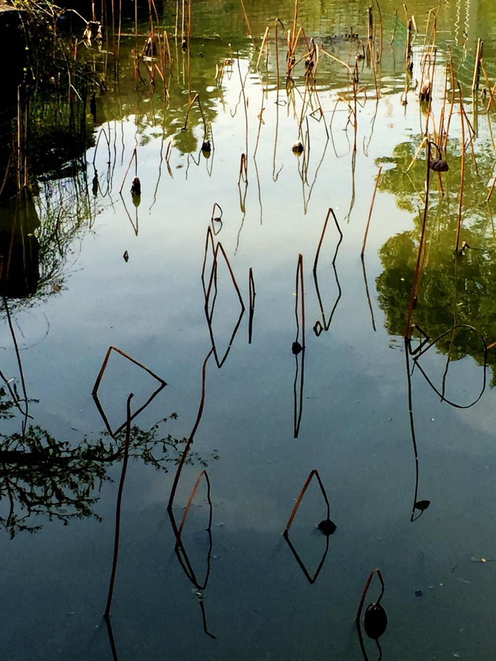 澶粨鍗楀洯鍘嗗彶鑳屾櫙,鍥捐澶粨鍘嗗彶