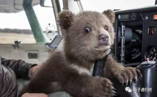 搞笑版│神一般的国家看战斗民族花式迎接圣诞节