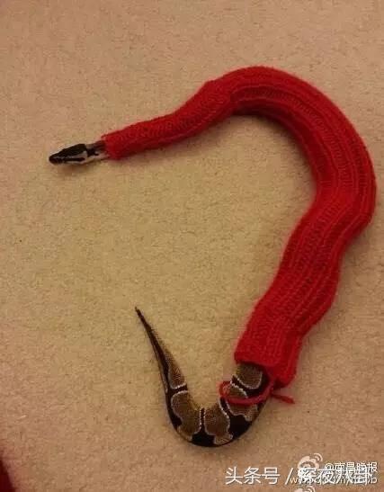 又到一年圣诞节,又到圣诞节了大家怎么看