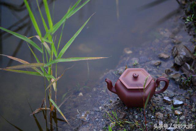 紫砂壶之美,紫砂壶之王是哪种壶