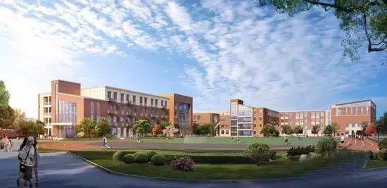 看完振奋,下应东南片区教育配套大爆发!