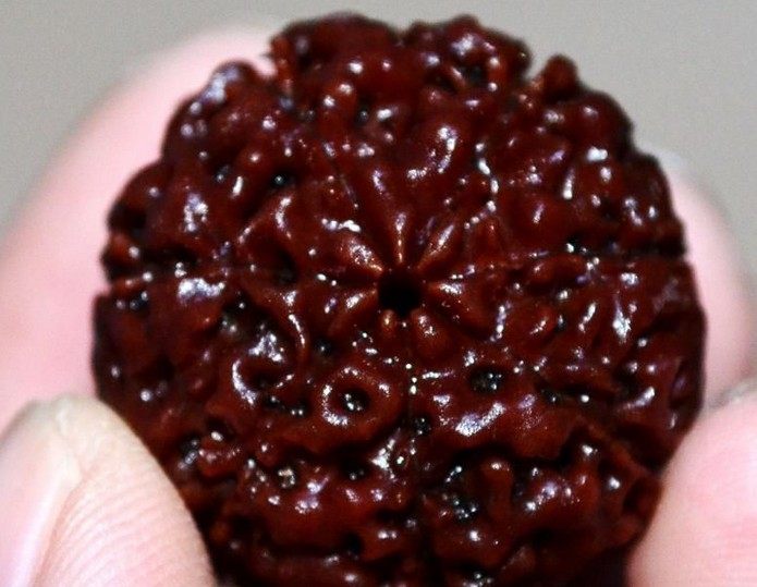 金刚菩提手串为什么那么便宜,为什么金刚价格不一样