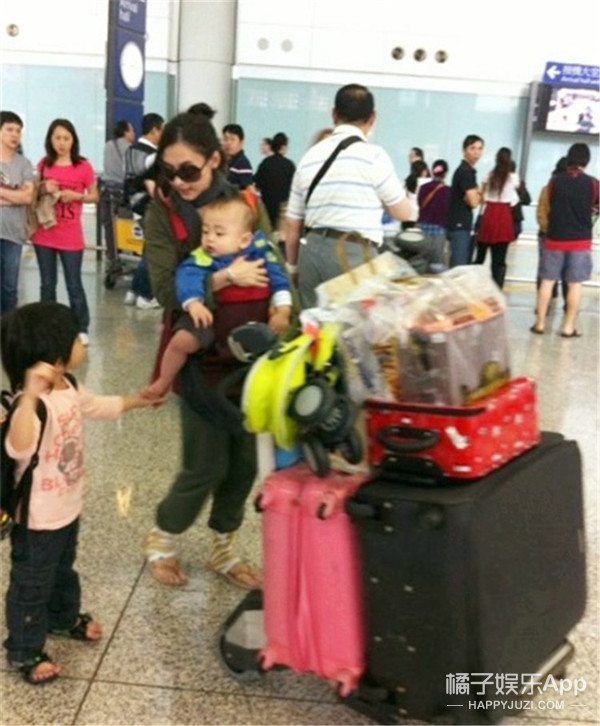 隆鼻张柏芝鼻型,浪姐张柏芝新消息