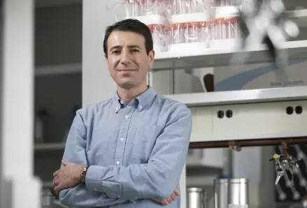 青蒿素获得诺贝尔医学奖,青蒿素能治疗肺结核吗