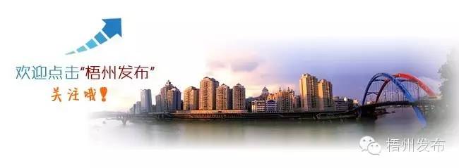 杨璞谈青训,杨璞回忆徐云龙