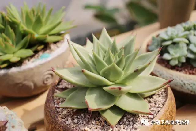 别把垃圾当宝贝,别把垃圾当个宝