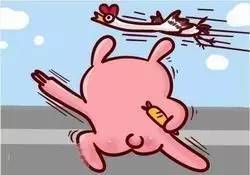 姚蓉蓉结婚全程,姚蓉蓉离婚了吗