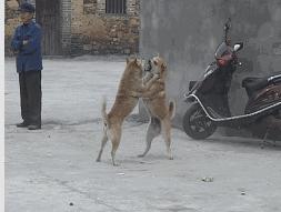 醉汉找口吃大爷指挥倒车，结果……