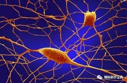 要不要给孩子补DHA？吃了DHA真的会越来越聪明？要怎么正确给孩子补DHA?