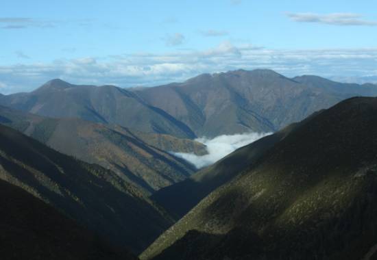 六年后希望孩子成为怎么样的人,希望孩子六年以后是个怎样的人