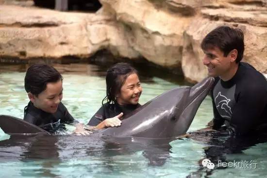 这几个国家太诱惑，直飞、免签、路边就能吃到米其林、国家公园免费一整年，是时候策划一场明年的旅行了！