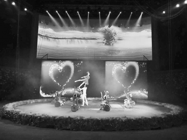 齐齐哈尔市杂技马戏演出,齐齐哈尔市马戏团杂技演出