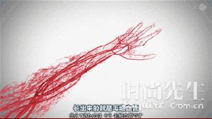 coolknotair鞋带,coolknot鞋带使用方法