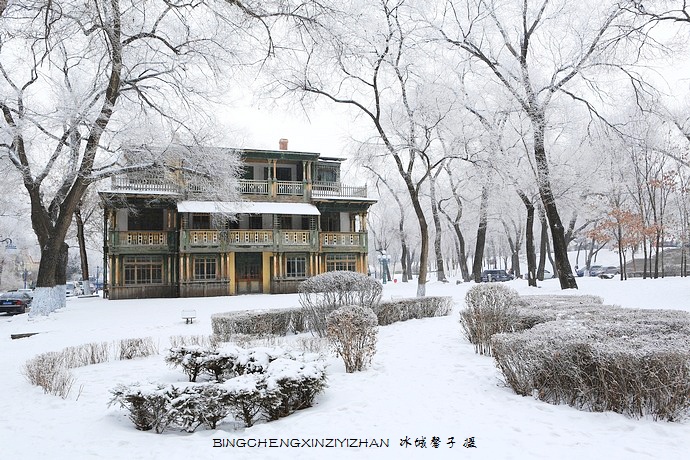 哈尔滨太阳岛的冬天照片,哈尔滨太阳岛的冬天有多美