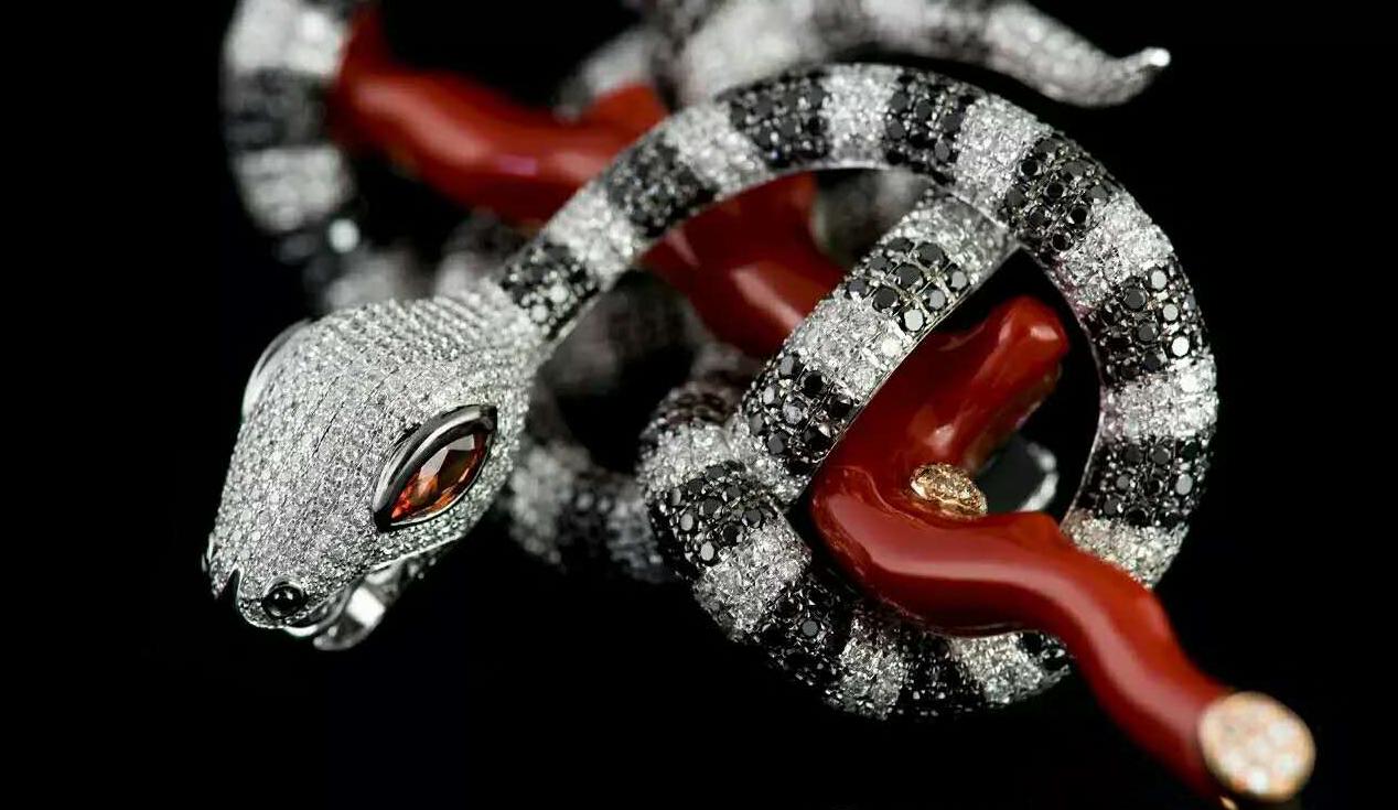 台湾红珊瑚哪里的好,台湾红珊瑚有升值空间吗