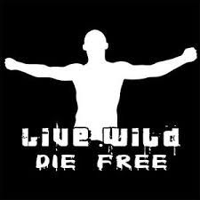 英国足球流氓被俄罗斯揍,俄罗斯暴打英国足球流氓