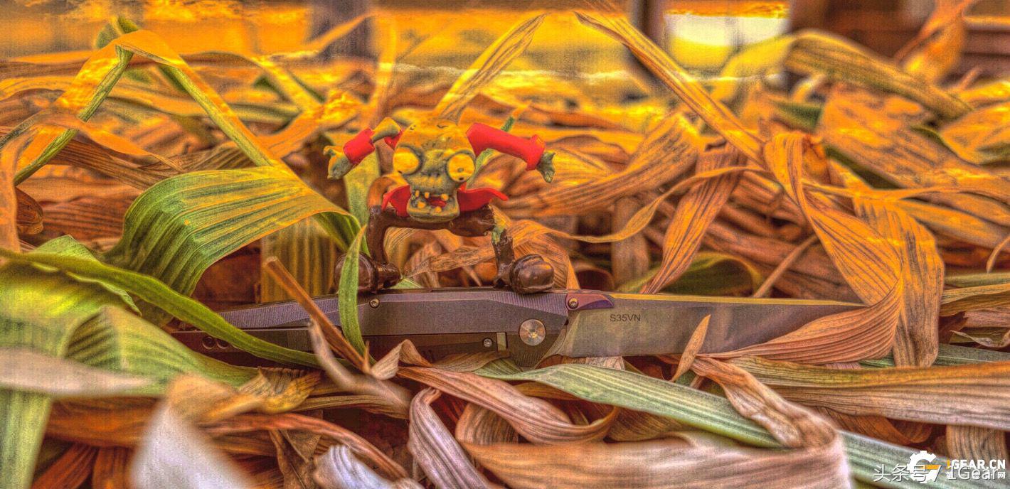 给你来点不一样的最佳战术*刀折**奖得主测评