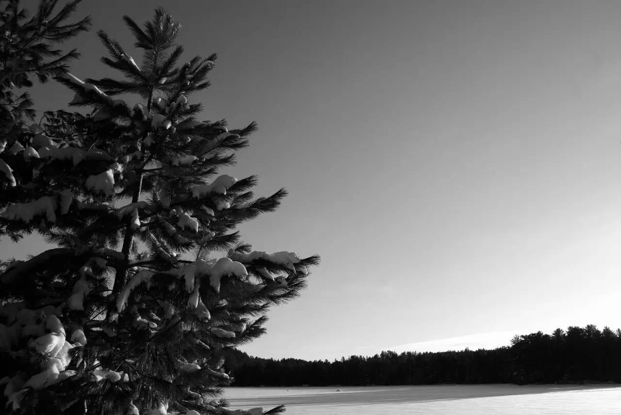 越野滑雪有什么优点,越野滑雪深度解析