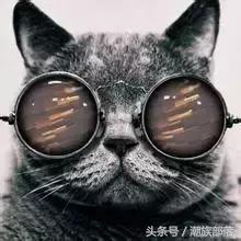 韩国气垫哪个遮盖力好还便宜,韩国气垫哪个牌子遮瑕效果好