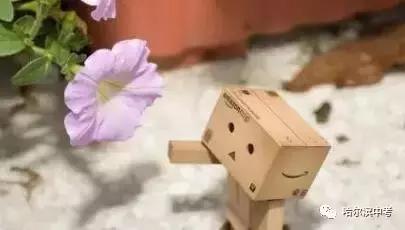 2017年哈尔滨中考化学试题及答案,哈尔滨化学中考推断知识