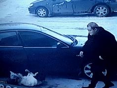 风暴瓶预测天气图解,风暴瓶真的能预测天气吗