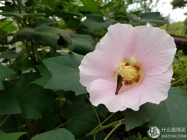 三星s7edge2021年用还行不,三星s7edge还能玩几年